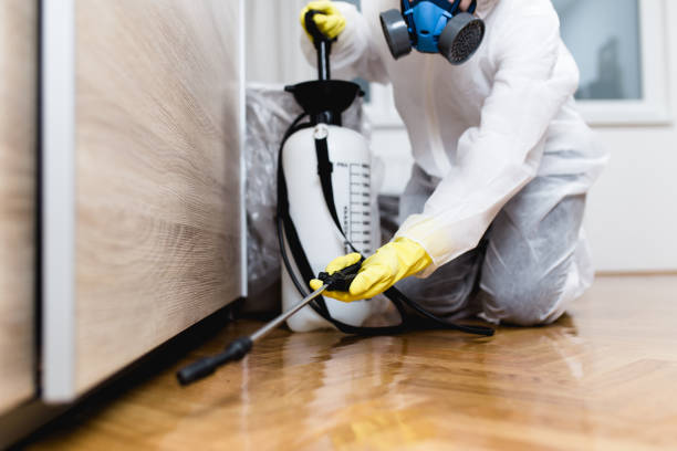 Best Ant Control Services  in Broad Brook, CT