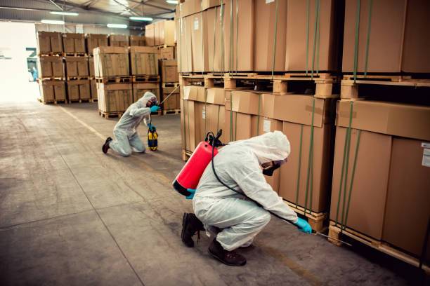 Best Pest Control Near Me  in Broad Brook, CT