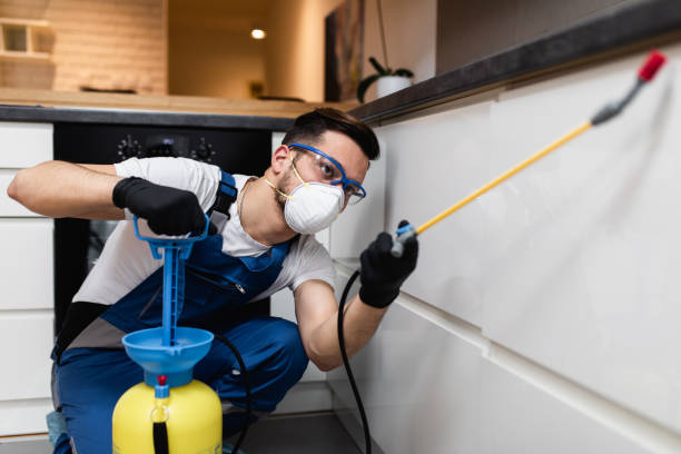 Best Pest Prevention Services  in Broad Brook, CT