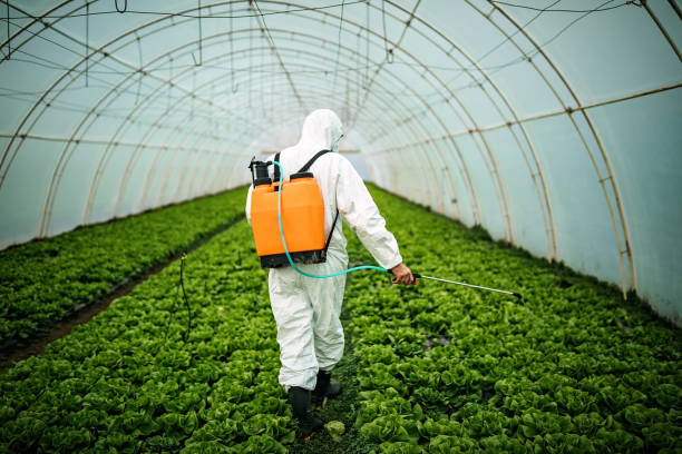 Best Mosquito Control Services  in Broad Brook, CT