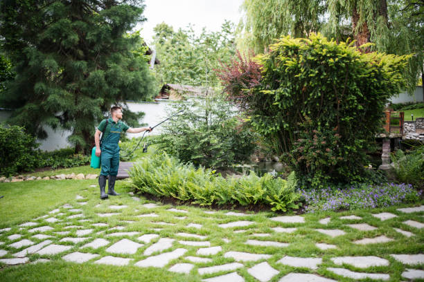 Best Pest Inspection Near Me  in Broad Brook, CT