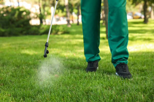 Best Local Pest Control Services  in Broad Brook, CT