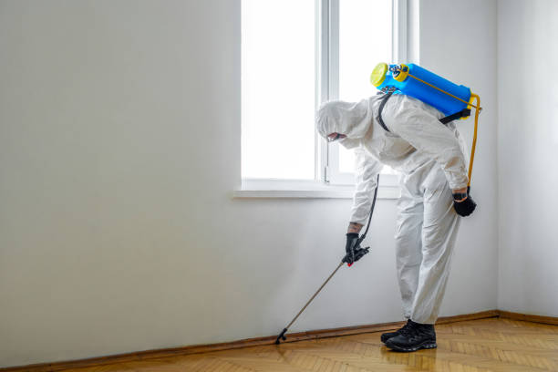 Best Pest Control for Homes  in Broad Brook, CT