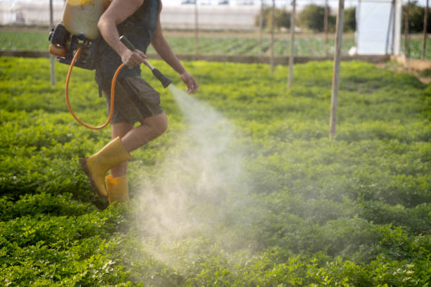 Best Best Pest Control Companies  in Broad Brook, CT