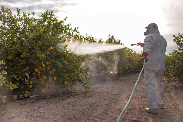 Best Affordable Pest Control Services  in Broad Brook, CT