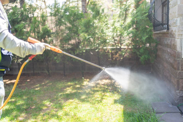 Best Best Pest Control Companies  in Broad Brook, CT