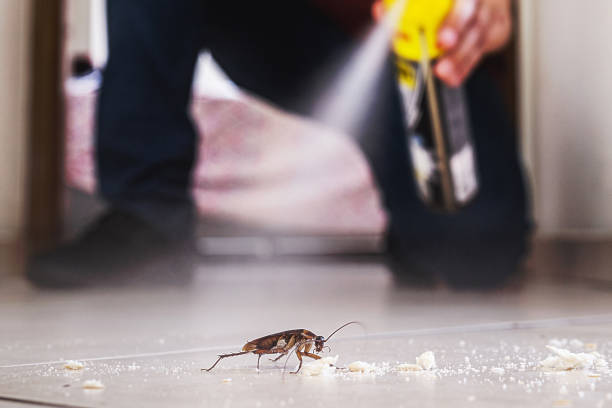 Best Bed Bug Extermination  in Broad Brook, CT