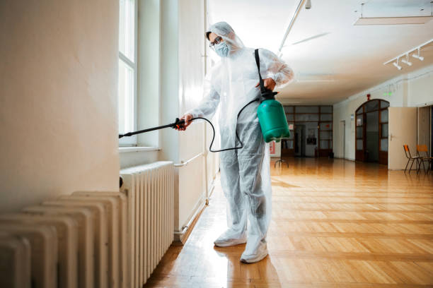 Best Wasp Removal Services  in Broad Brook, CT