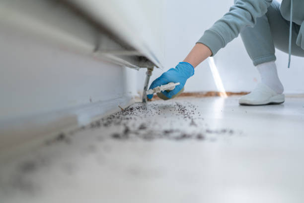Best Affordable Pest Control Services  in Broad Brook, CT